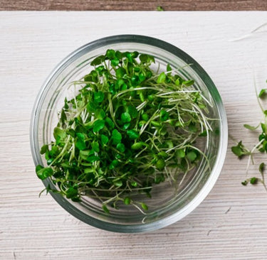 Watercress